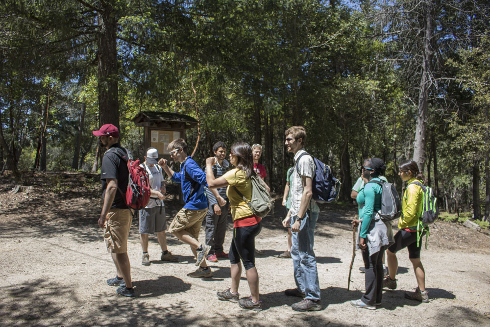 Picture of 160430 Castle Rock Hike